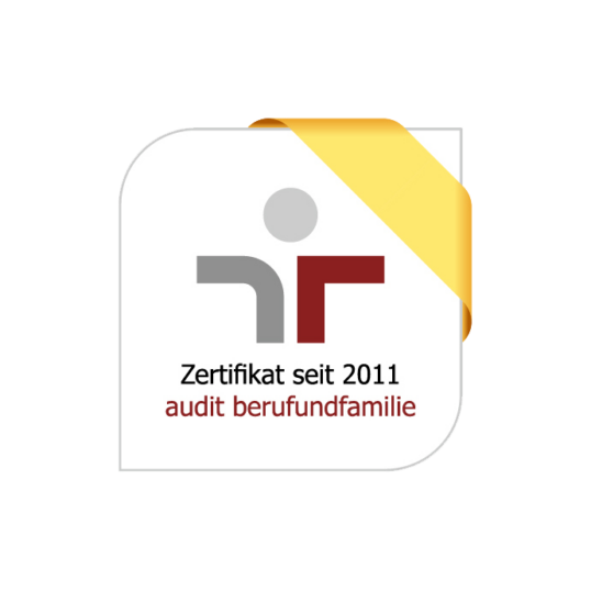 audit_bf_rz_2011_DE_690x690px